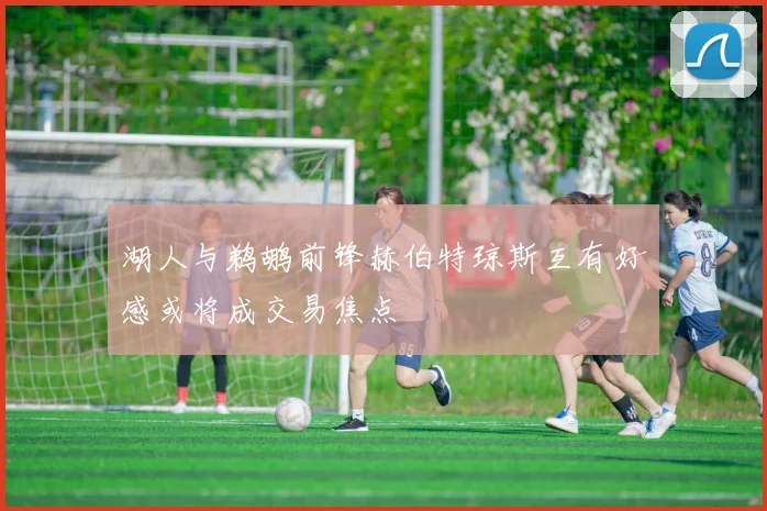 湖人与鹈鹕前锋赫伯特琼斯互有好感或将成交易焦点