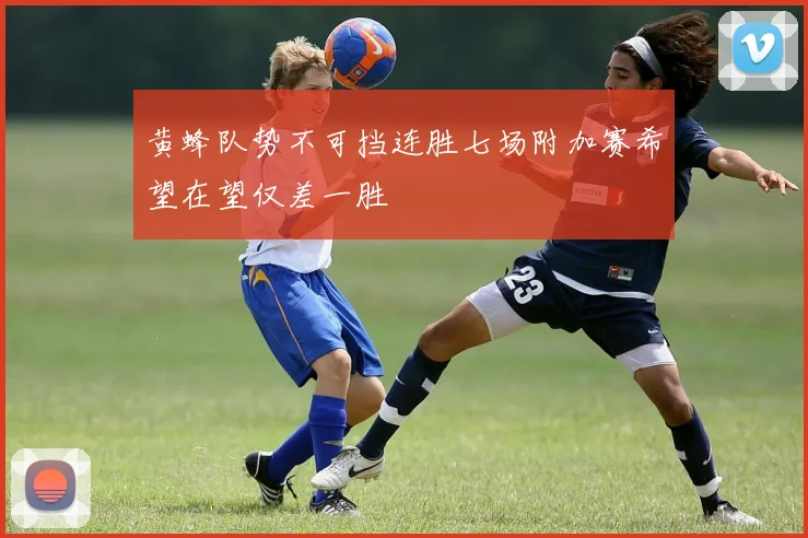 黄蜂队势不可挡连胜七场附加赛希望在望仅差一胜