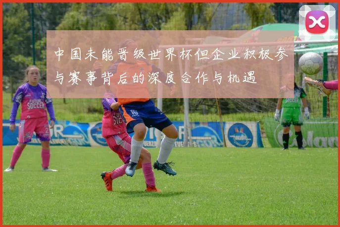 中国未能晋级世界杯但企业积极参与赛事背后的深度合作与机遇